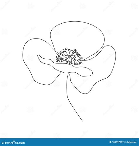 Poppies Flower Continuous Line Drawing Abstract Minimal Poppy Stock