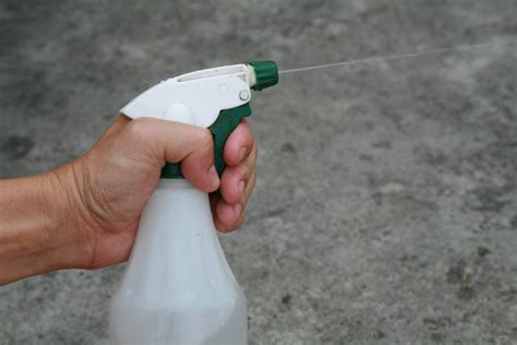 52 Hq Images Cat Spray Bottle Meme Spot The Romulan Spy Imgflip