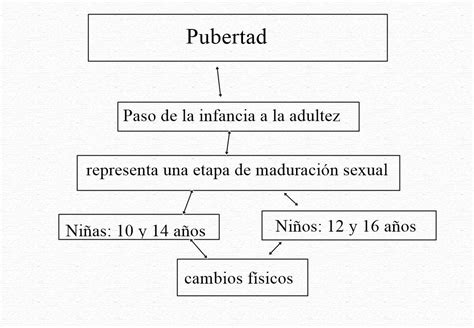 Mapa Conceptual De La Pubertad Brainlylat