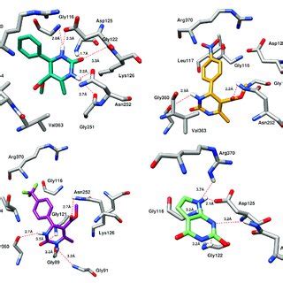 The Binding Mode Of A Compound 1 B Compound 12 C Compound 33 And