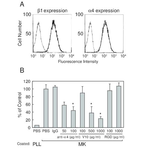 Integrin Is Involved In Mk Induced Migration A Expression