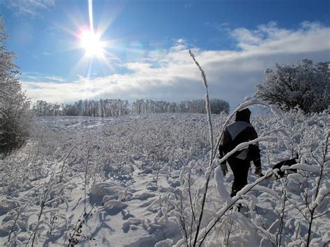 13 Provincial Parks to Visit During Winter in Manitoba