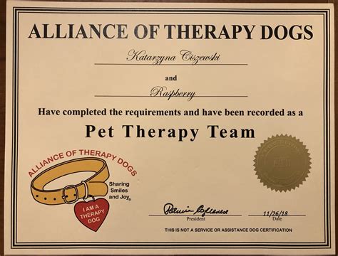 therapy dog mycharlestontherapist