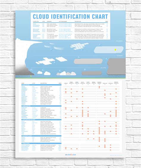 A Cloud Identification Infographic I Created That Makes It Easy To