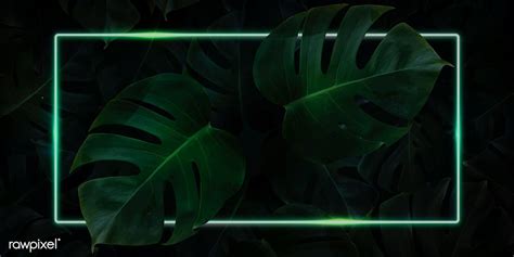 Rectangle Green Neon Frame On Tropical Leaf Background Vector Premium Image By