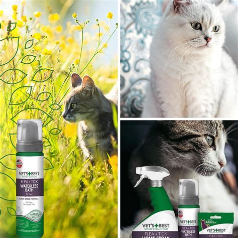 Feline-Friendly & Flea-free: The 5 Best Shampoos For Your Cat!