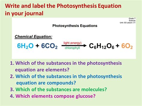 38 Label A Chemical Equation