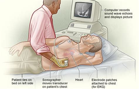 St Maarten Medical Center Patient Care Patient Information