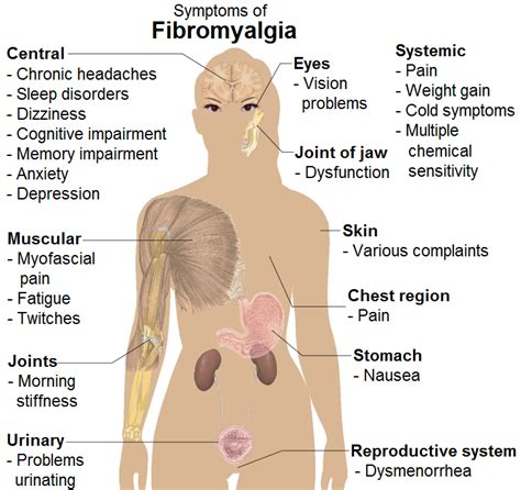 Fibromyalgia Physiotherapy Treatment In Gurgaon Pal Physiotherapy