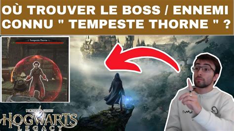 Hogwarts Legacy Localisation Comment O Trouver Le Boss Ennemi