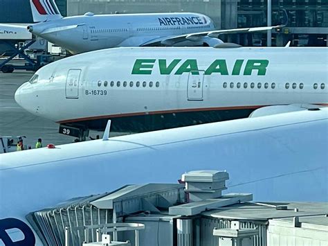 EVA Air planes to Taipei always full, increase frequencies from Milan