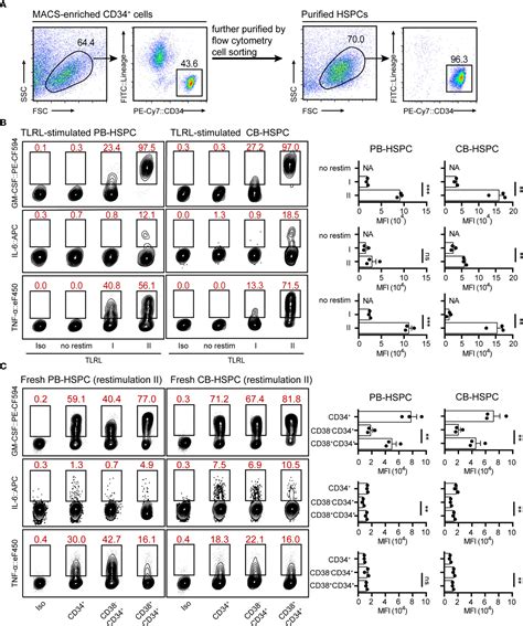 Frontiers Optimized Intracellular Staining Reveals Heterogeneous