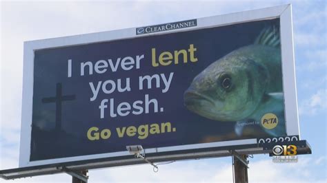 Billboard Wars PETA Jimmy S Famous Seafood Exchange Barbs On