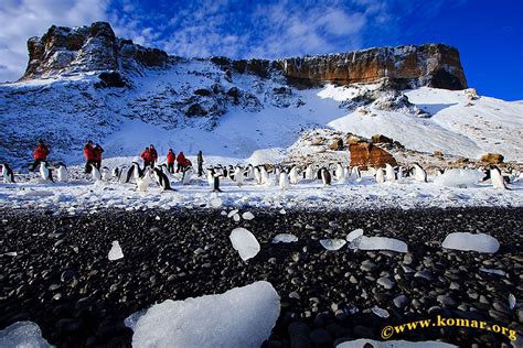 Brown Bluff Antarctica Wow