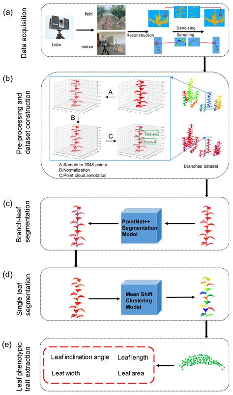 Sensors Free Full Text Automatic Branchleaf Segmentation And Leaf