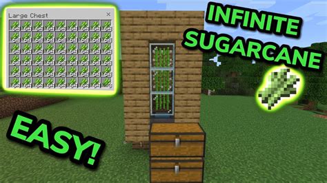 Easy 121 Fast Automatic Sugarcane Farm Tutorial In Minecraft Bedrock