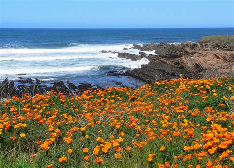 Free Images Sea Coast Ocean Horizon Field Meadow Prairie Shore