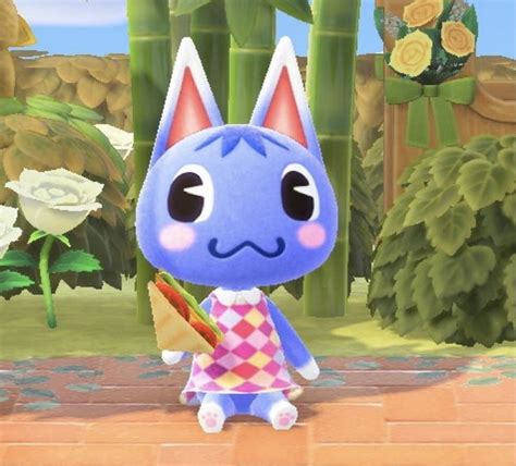 Pin On Animal Crossing Rosie Animal Crossing Animal Crossing Cats