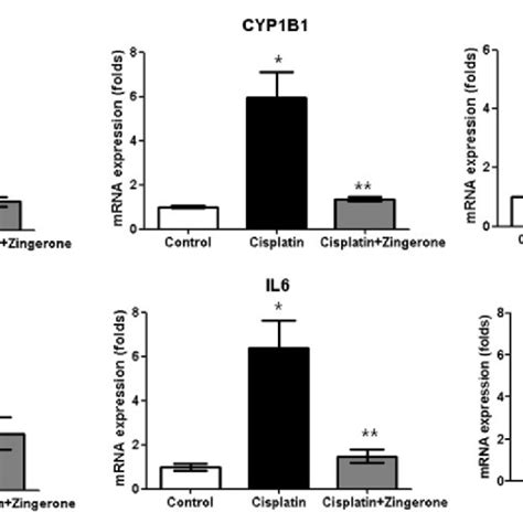 The MRNA Expression Levels Of Cytochrome P450 CYP 1A1 CYP1B1