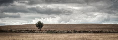 Free Images Landscape Tree Nature Outdoor Horizon Cloud