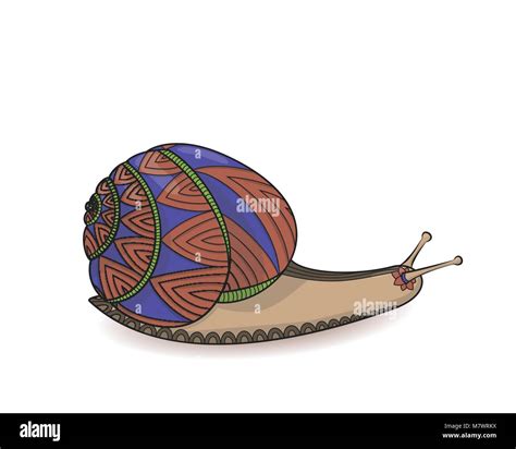 Invertebrates Mollusks