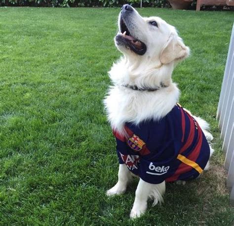 Los Cracks Del Barça Y Sus Perros