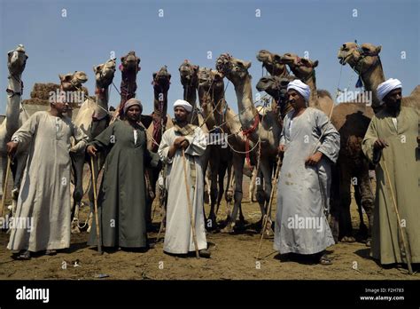 Cairo Egypt 18th Sep 2015 Egyptians Gather During An Auction At