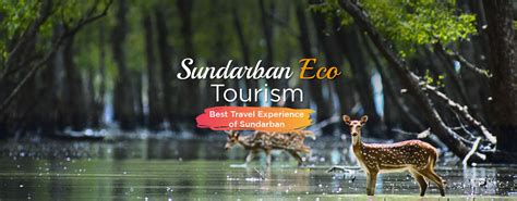 Sundarban Tour Package 1 Travel Planner For Sundarban Tour