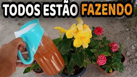 Esse Adubo Caseiro Faz Estourar De Tantas Flores Qualquer Planta