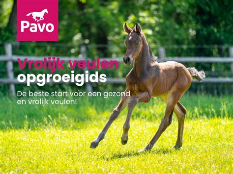 Cover Vrolijk Veulen Opgroeigids