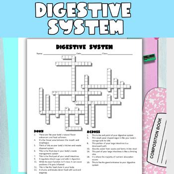 Digestive System Crossword Puzzle By Morgan Hernandez Health And Pe