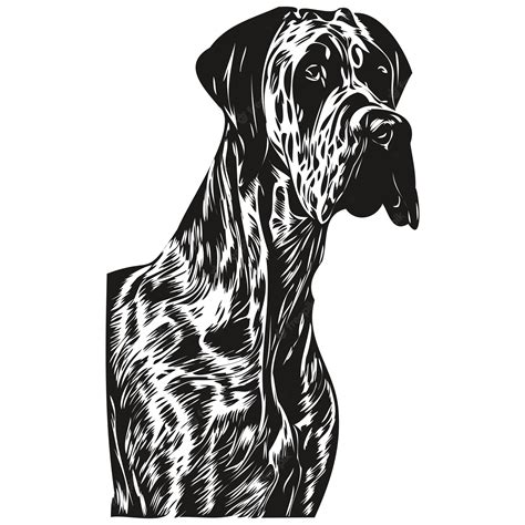 Gran Danés Perro Línea Arte Mano Dibujo Vector Logo Blanco Y Negro Mascotas Ilustración Vector