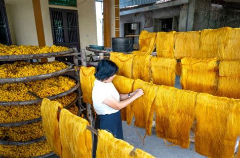 Manfaat Mesin Pengering Makanan Untuk Produk Kuliner Blog Fomac
