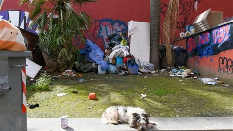 Napoli Tonnellate Di Rifiuti Rimosse In Piazza Cavour La Repubblica