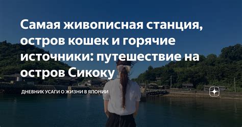 Самая живописная станция, остров кошек и горячие источники: путешествие ...