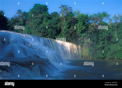 Cascadas Cascadas Cascadas Cascadas Agua Banque De Photographies Et D