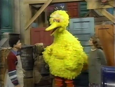 Big Bird Gina And Carlo Big Bird Sesame Street Muppets