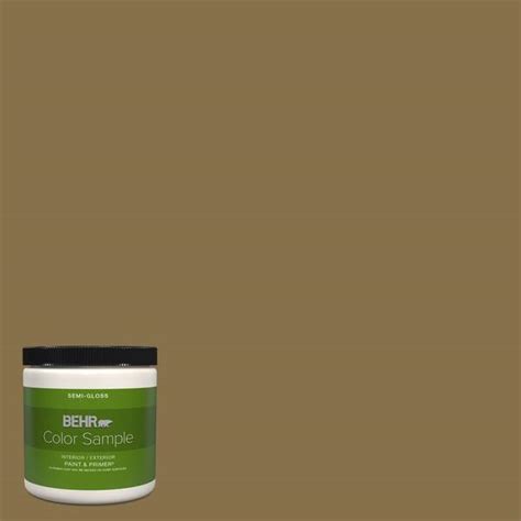 Behr Premium Plus Oz S African Plain Semi Gloss Interior