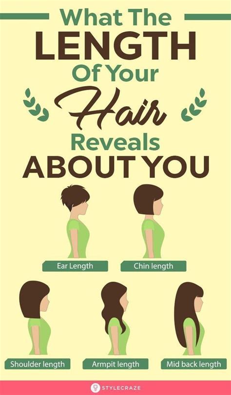 The Surprising Insights What Your Hair Length Says About Your Personality Prime Stock Art