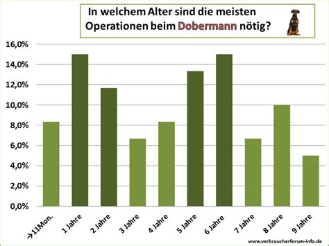 Hunde OP Versicherung für Dobermann inkl OP Statistik