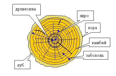 Деревянные окна | PRO-OKNA