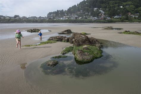 Yachats Ocean Road State Natural Site - Yachats, Oregon - beaches in Oregon