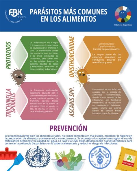 PARÁSITOS MÁS COMUNES EN LOS ALIMENTOS FBK México