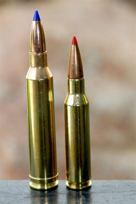 Mm Vs Mm Rem Mag Comparing Power Range And Accuracy The Deer