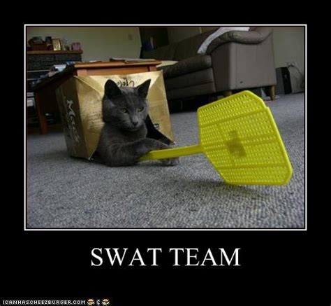 SWAT TEAM | Rub Mint