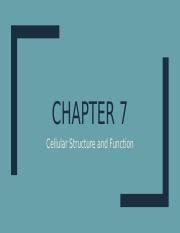 Chapter 7 Cellular Structure And Function 1 Pptx CHAPTER 7 Cellular