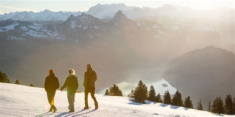 Mit Der Bahn Im Winter Auf Die Rigi