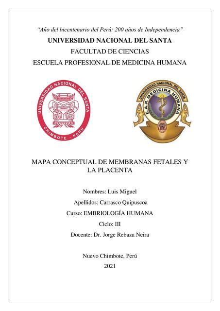 Membranas Fetales Y La Placenta Luis Miguel Carrasco Quipuscoa UDocz