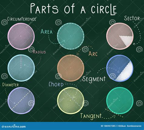 Parts of a Circle with, Circumference, Area, Sector, Radius, Arc, Segment, Diameter, Chord ...