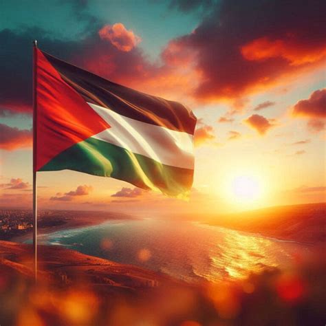 أحلى 15 صورة علم فلسطين بتصاميم أكثر من رائعة برو عرب